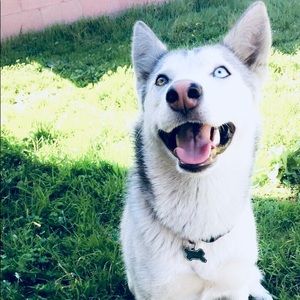 Meet your Posher, Jackie